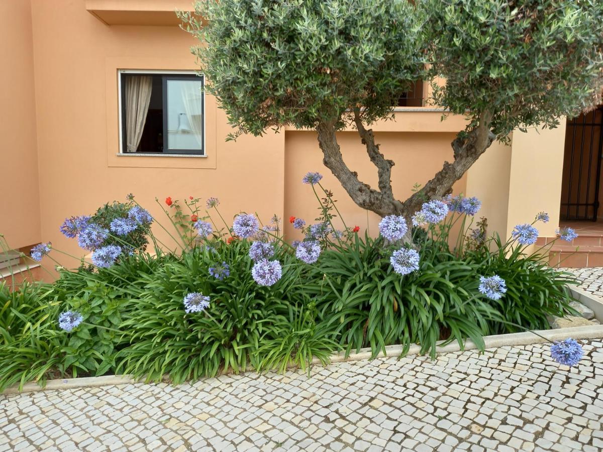 Senhora da Luz La Suite Calypso מראה חיצוני תמונה